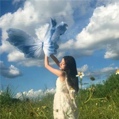 血芙蓉